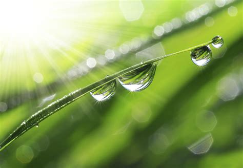 Example of Condensation 的图像结果