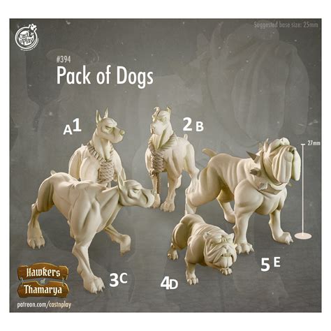 Acheter Cast n Play - Marchands de Thamarya - Chiens Errants - L’Antre ...