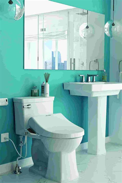 Why Should I Use A Bidet at Andre Thompson blog