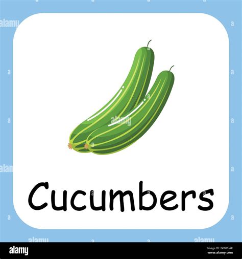 Cucumbers Clip Art, Illustration for Kids, cartoon fruit illustration ...