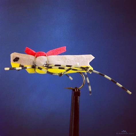 Image result for Morrish Hopper Fly Pattern