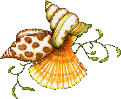 Sea Shell Clipart