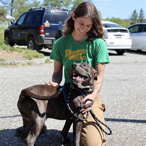 Sammies Friends Nevada County