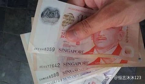 新加坡“支付宝”注册数达280万，正一步步助力新加坡走向无现金时代！(新加坡现金公司)_新加坡创业网