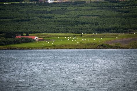 Agriculture In Akureyi, Iceland Free Stock Photo - Public Domain Pictures