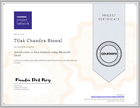 Coursera Certificate: Data Analysis Using Excel Project Completion ...