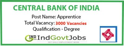 Central Bank of India Apprentice Recruitment 2024: 3000 Vacancies ...