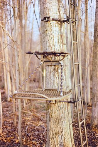 Image result for Lock Down Ladder Tree Stands