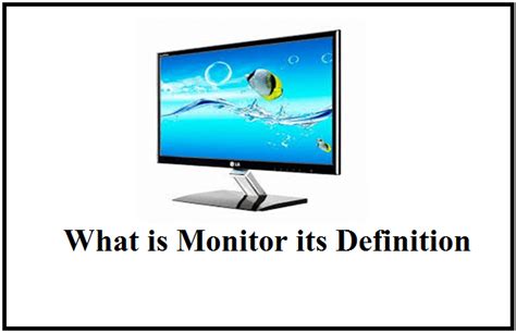 Image result for Monitor Function