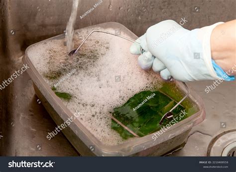 Microscope Slide 的图像结果