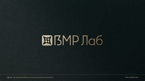 Image result for Sample BMP Lab