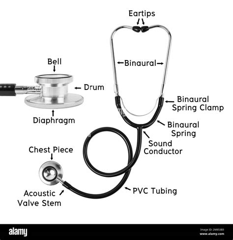 Stethoscope Diagram
