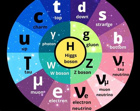 Standard Model Of Particle Physics - Ygraph
