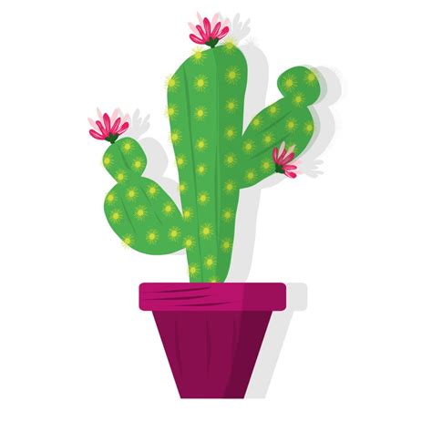 Cactus Plant Clip Art