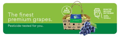 Superplum Green and Red Grapes, 400gm : Amazon.in: Grocery & Gourmet Foods