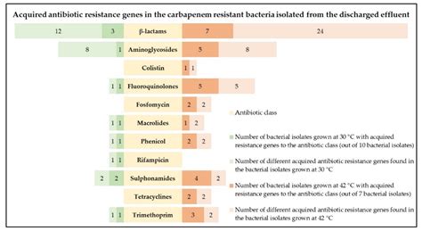 Environmental and Pathogenic Carbapenem Resistant Bacteria Isolated ...