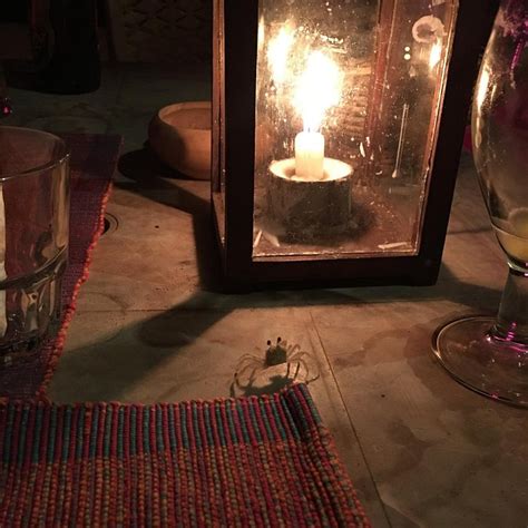 WARAHENA BEACH HOTEL (Bentota) - Inn Reviews & Photos - Tripadvisor