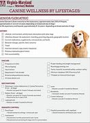 Image result for 23 dogs medically evaluated