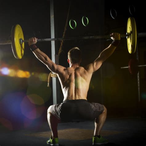 Weightlifting Hierarchy - Fitness & Workouts