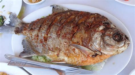 YUZANA RESORT NGWE SAUNG - Hotel Reviews & Photos - Tripadvisor