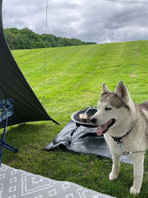 HOOTON LODGE FARM CAMPSITE (Rotherham, England) - Campground Reviews ...