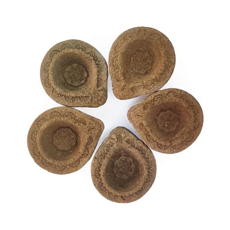 Buy Natural & Eco-Friendly Cow Dung Diyas – Organic Gyaan