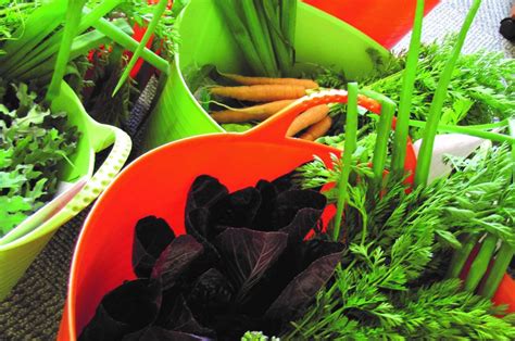 Local Organic Produce 的图像结果