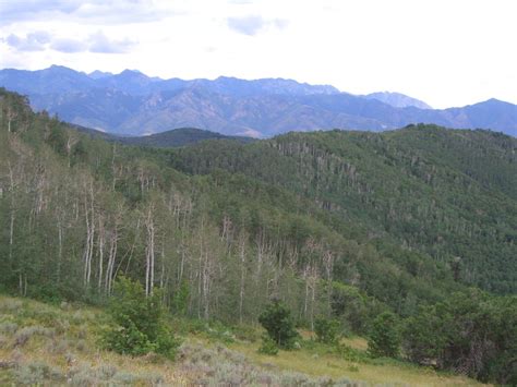 Wasatch Front 的图像结果