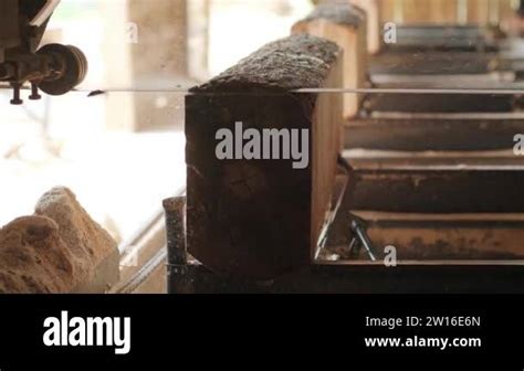 Timber Cutting Machine 的图像结果