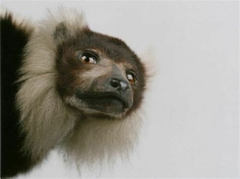 Sean Dooley. After Life | Meer