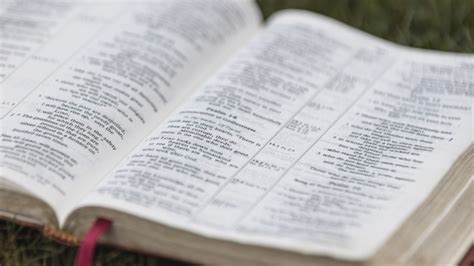 Image result for Bulwark Hack Script