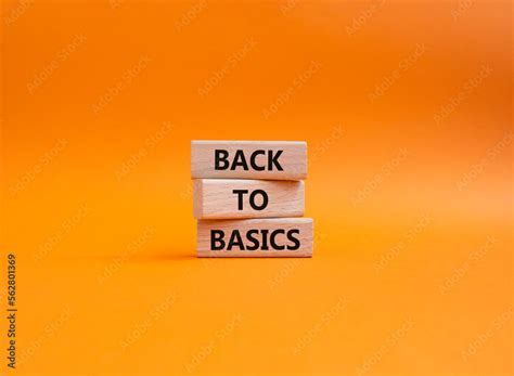 Image result for Basic Back