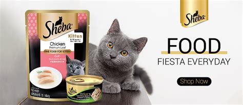 Best Pet Supply Store Mumbai, Buy Cheapest Pet Supplies Online India ...