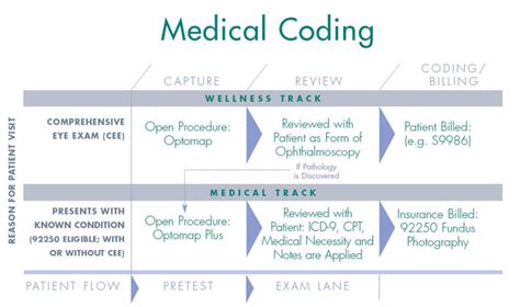 Image result for Example of Medical Coding Work
