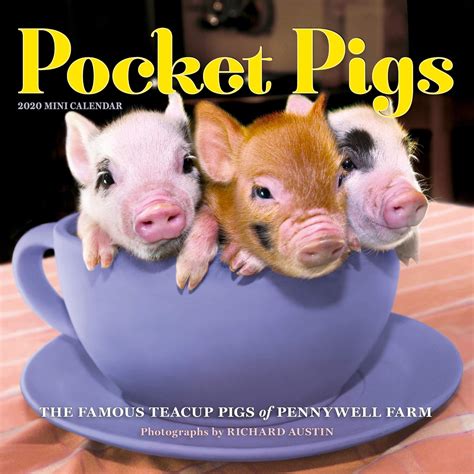 2020 Pocket Pigs Mini Wall Calendar : Austin, Richard, Workman ...