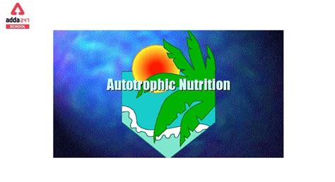 Autotrophic Nutrition