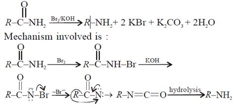 Acetamide is treated separately with the following reagent. Which one ...