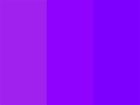 [100+] Solid Purple Backgrounds | Wallpapers.com