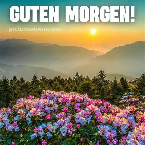 Kostenlose guten morgen bild Blumen in den Bergen