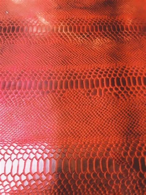 Conditioning Python Leather 的图像结果