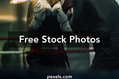 Boxing Sparring Partner 的图像结果