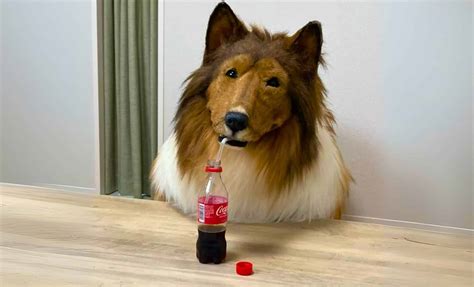 Image result for Pygame Tutorial 2