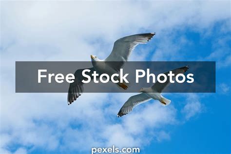 Environment Animated 的图像结果