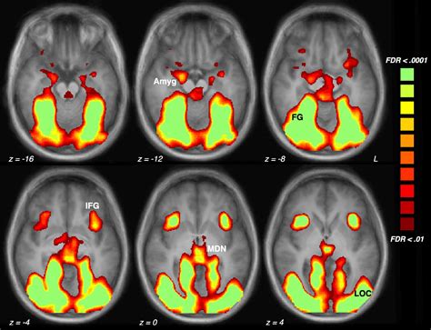 Frontiers | A 5-min paradigm to evoke robust emotional reactivity in ...