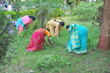 Indian Institute of Millets Research (IIMR)