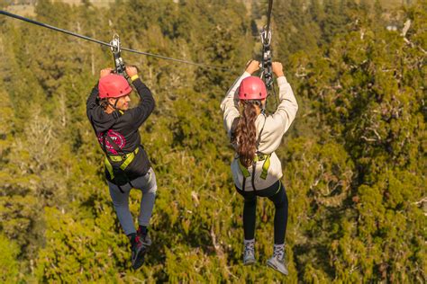 Zipline New Zealand | West Coast Treetop & Zipline