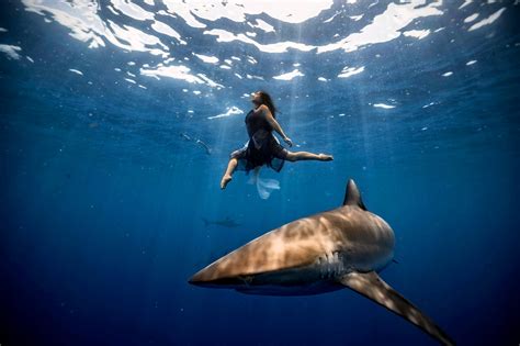 Gallery 1 — Raven Lynette