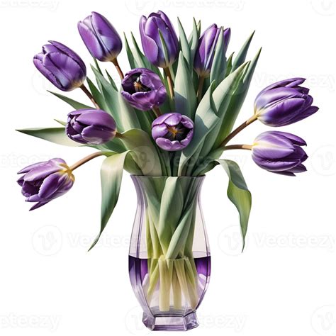 Image result for HTML Source Code Display