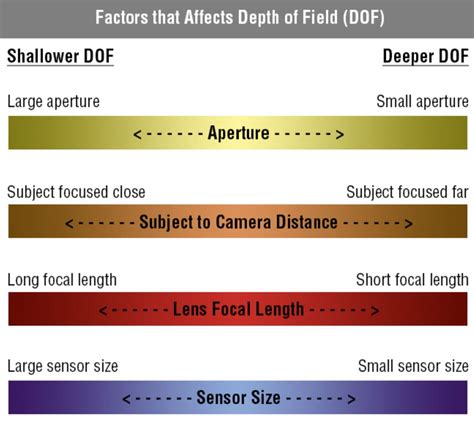 09 What is DEPTH OF FIELD in Photography: A Beginners Guide
