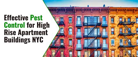 Site is undergoing maintenance